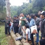 36954219_414477035628317_8409847253228847104_n